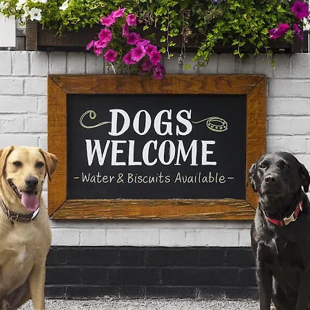 Tres Chic Bed and Breakfast