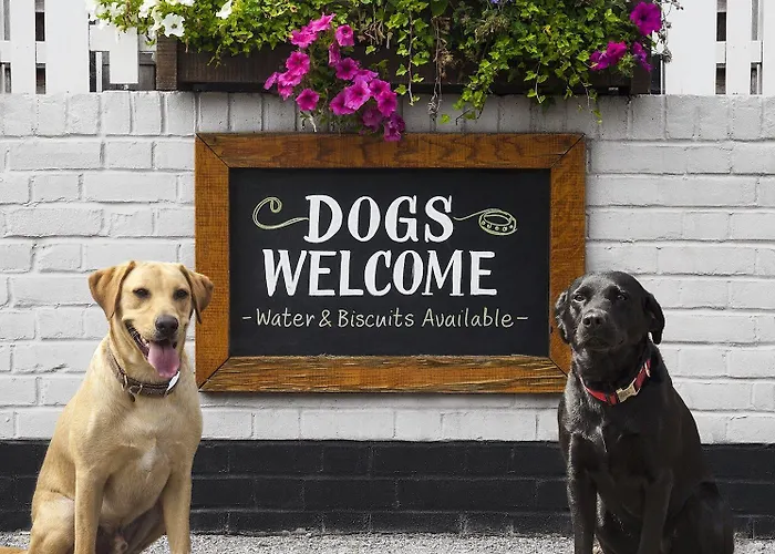 Tres Chic Bed & Breakfast